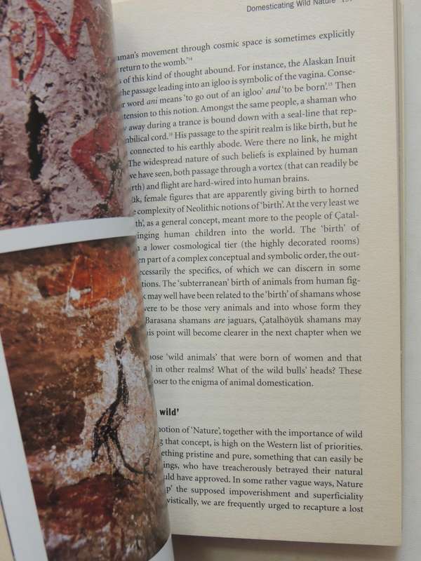 Inside The Neolithic Mind - David Lewis-Williams & David Pearce