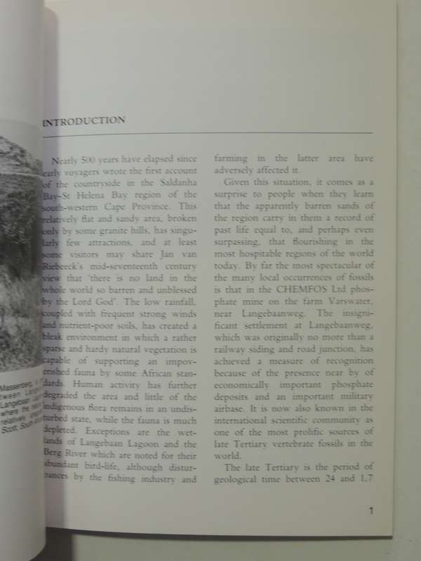 Langerbaanweg: A Record Of Past Life -  Q.B. Hendey