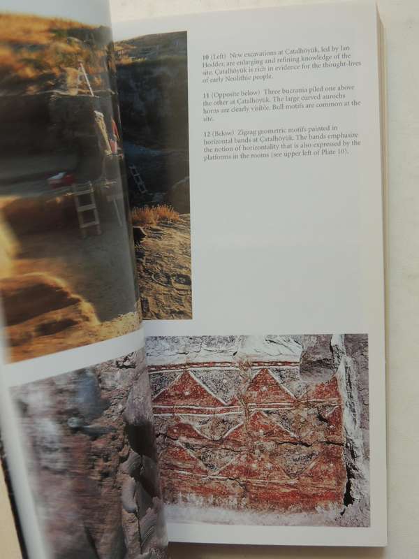 Inside The Neolithic Mind - David Lewis-Williams & David Pearce