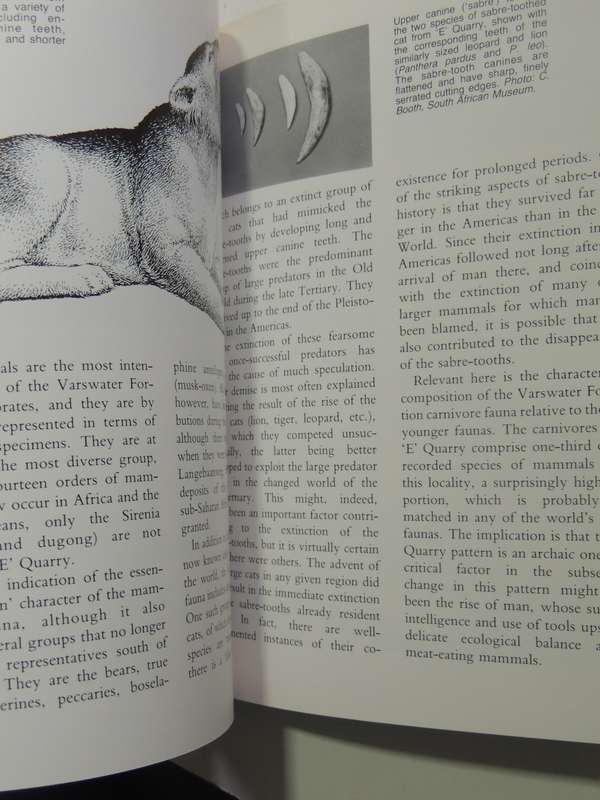 Langerbaanweg: A Record Of Past Life -  Q.B. Hendey