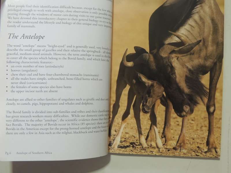 A Field Guide To The Antelopes Of Southern Africa - Dr. "Nolly" Zaloumis & Robert Cross