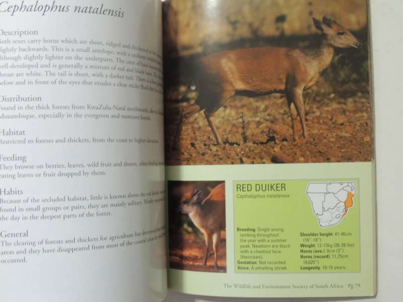 A Field Guide To The Antelopes Of Southern Africa - Dr. "Nolly" Zaloumis & Robert Cross