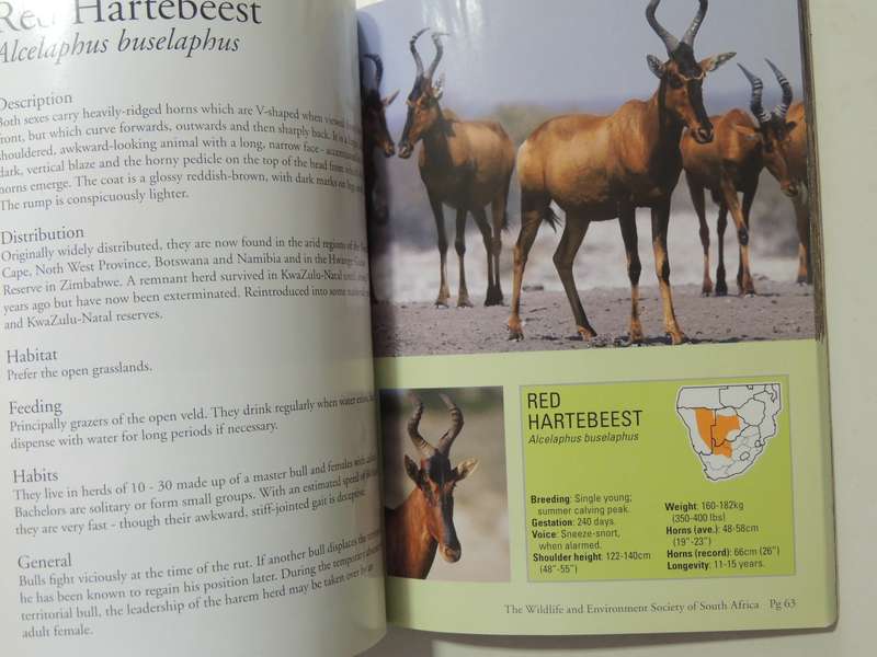 A Field Guide To The Antelopes Of Southern Africa - Dr. "Nolly" Zaloumis & Robert Cross