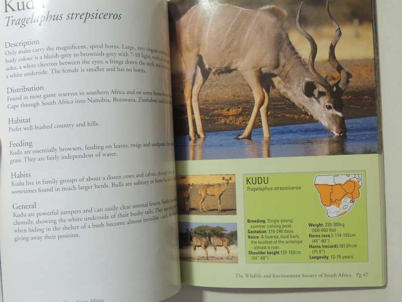 A Field Guide To The Antelopes Of Southern Africa - Dr. "Nolly" Zaloumis & Robert Cross