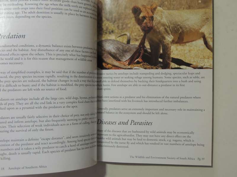 A Field Guide To The Antelopes Of Southern Africa - Dr. "Nolly" Zaloumis & Robert Cross
