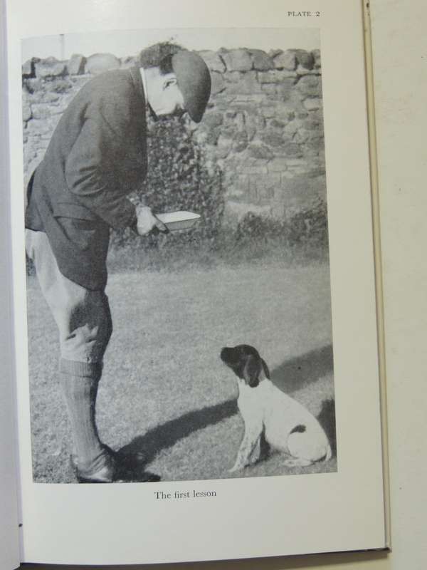Gundogs: Their Care And Training  - Michael Brander