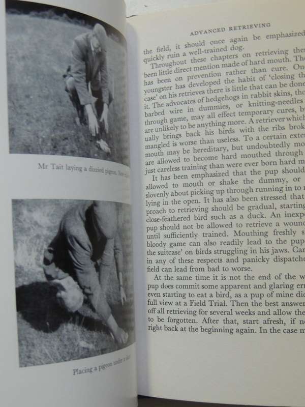 Gundogs: Their Care And Training  - Michael Brander