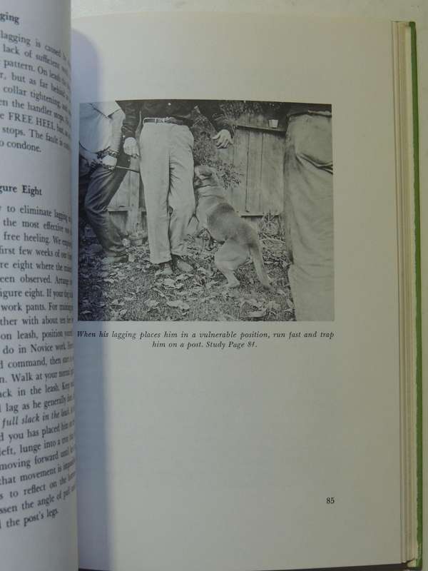 The Koehler Method Of Open Obedience For Ring, Home And Field - William R Koehler