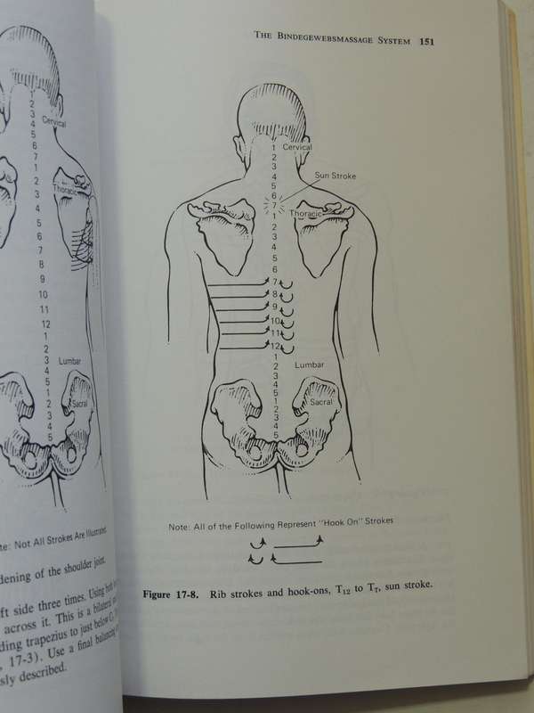 Healing Massage Techniques: A Study Of Eastern And Western Methods - Frances M. Tappan