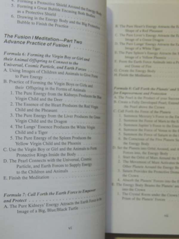 Fusion Of The Five Elements 1: Basic & Advanced Meditations ..Transforming Negative EmotionsMantak