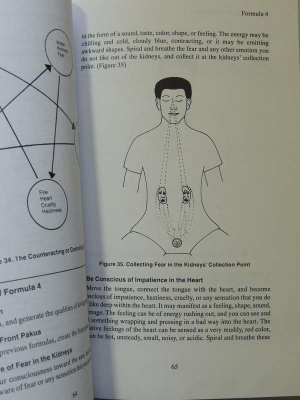 Fusion Of The Five Elements 1: Basic & Advanced Meditations ..Transforming Negative EmotionsMantak