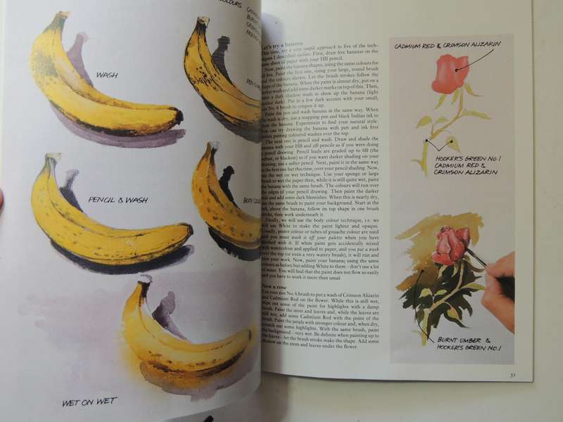Learn To Paint With Watercolours- Alwyn Crawshaw
