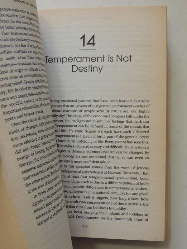 Emotional Intelligence: Why It Can Matter More Than IQ - Daniel Goleman