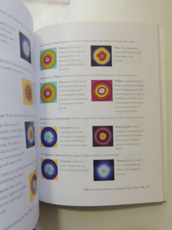 The Encyclopedia Of Bach Flower Therapy - Mechthild Scheffer