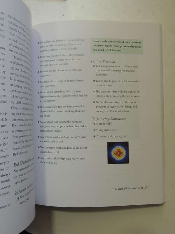 The Encyclopedia Of Bach Flower Therapy - Mechthild Scheffer