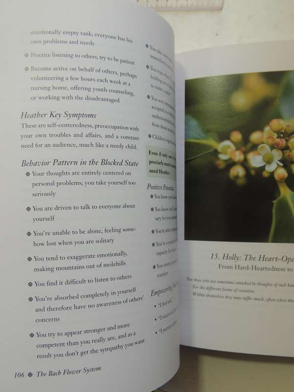 The Encyclopedia Of Bach Flower Therapy - Mechthild Scheffer