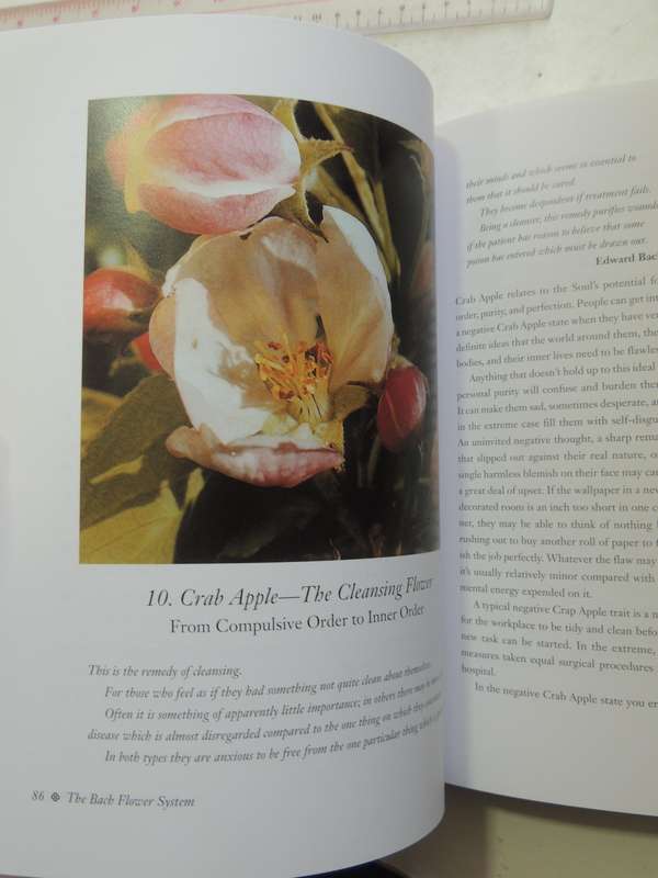 The Encyclopedia Of Bach Flower Therapy - Mechthild Scheffer
