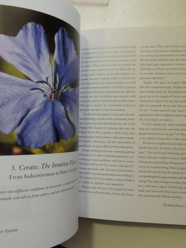 The Encyclopedia Of Bach Flower Therapy - Mechthild Scheffer