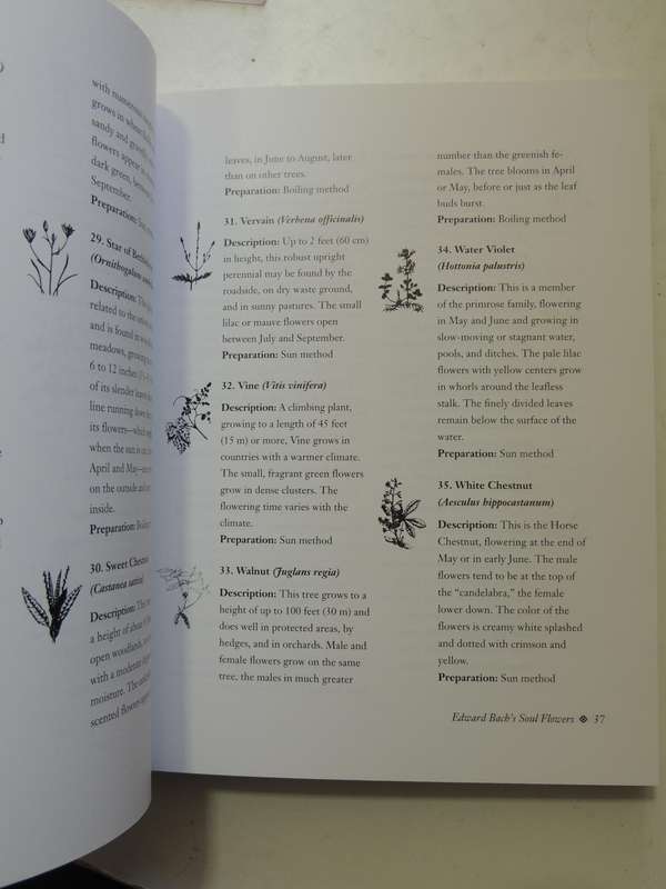 The Encyclopedia Of Bach Flower Therapy - Mechthild Scheffer