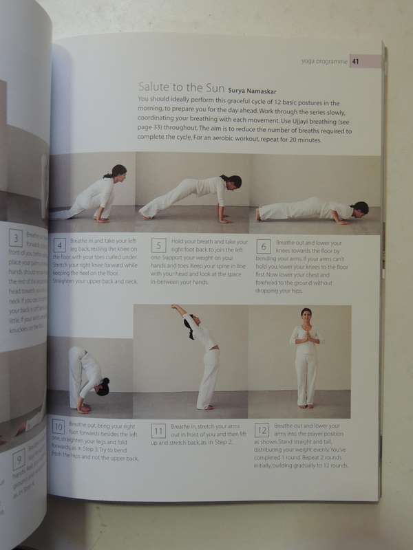 Therapeutic Yoga - Dr. Ali & Jiwan Brar
