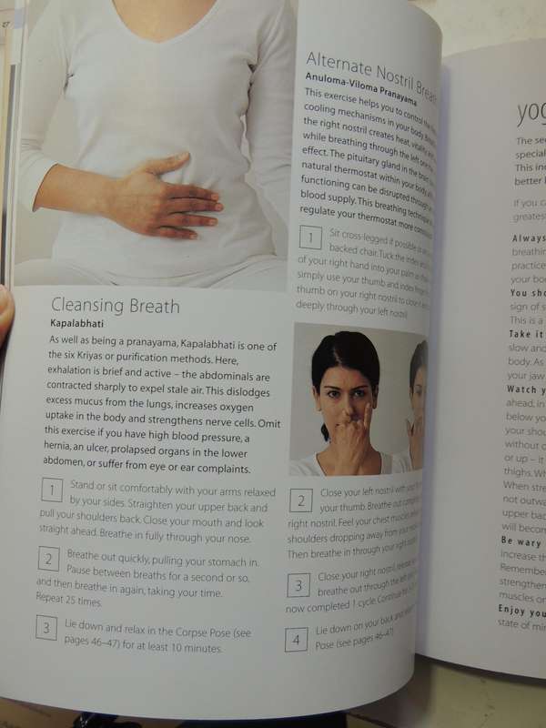 Therapeutic Yoga - Dr. Ali & Jiwan Brar