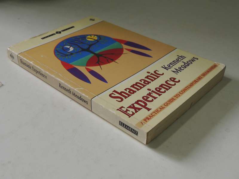Shamanic Experience: A Practical Guide to Contemporary Shamanism (Earth Quest) - Kenneth Meadows