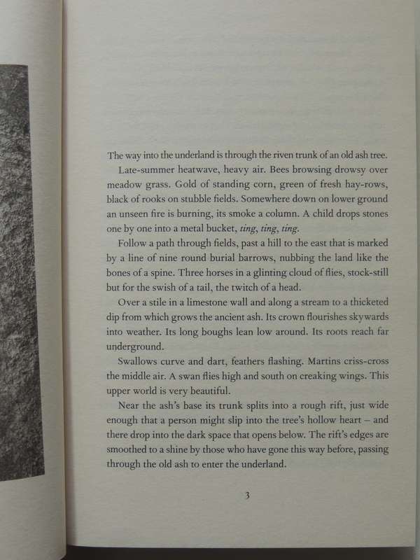 Underland - Robert Macfarlane