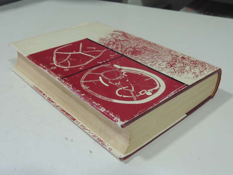 The Ruined Cities Of Mashonaland - Rhodesiana Reprint Library Gold Edition Vol. 5 - J. Theodore Bent
