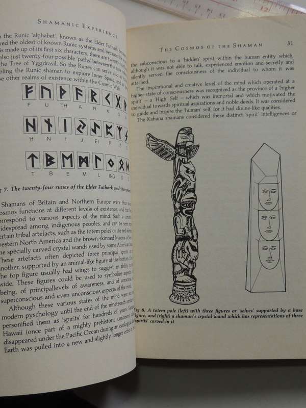 Shamanic Experience: A Practical Guide to Contemporary Shamanism (Earth Quest) - Kenneth Meadows