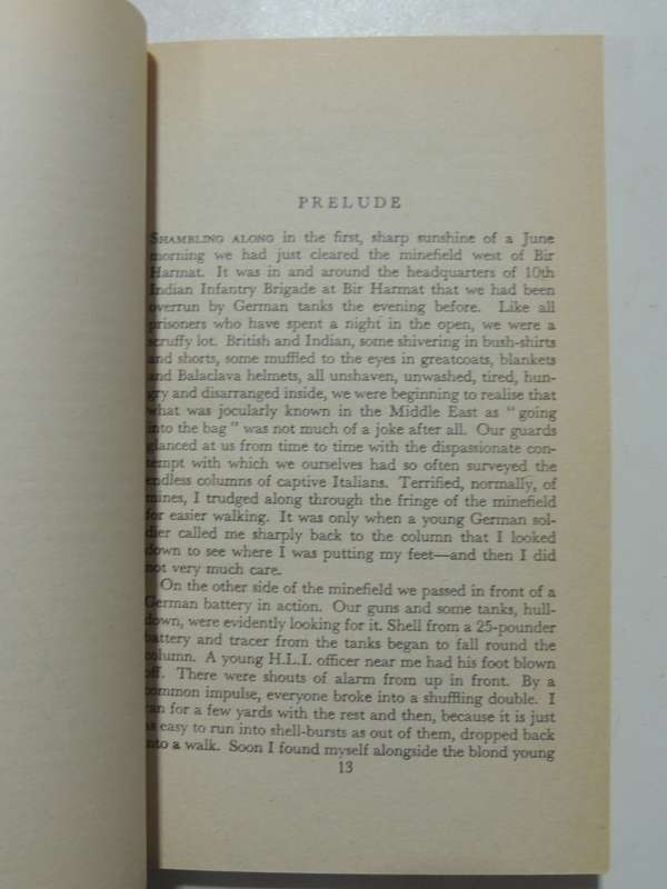 Rommel: The Desert Fox - Desmond Young