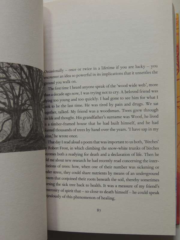 Underland - Robert Macfarlane