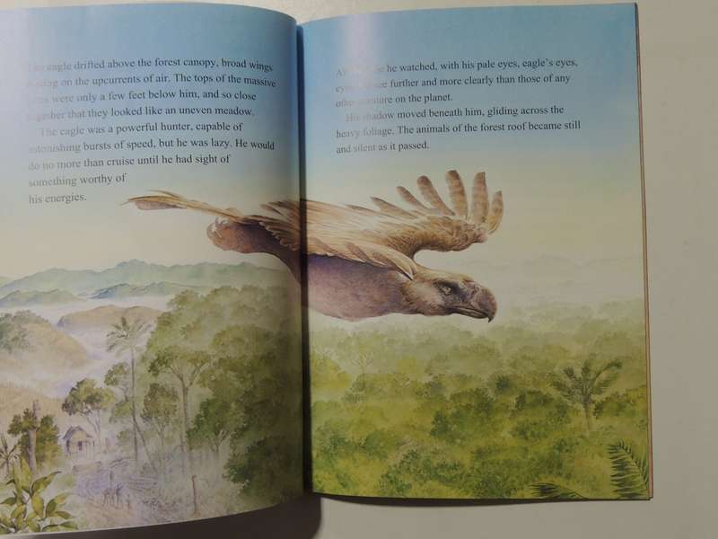 Eagle  - Judy Allen