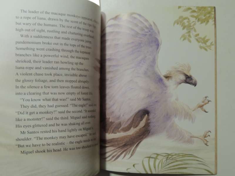 Eagle  - Judy Allen