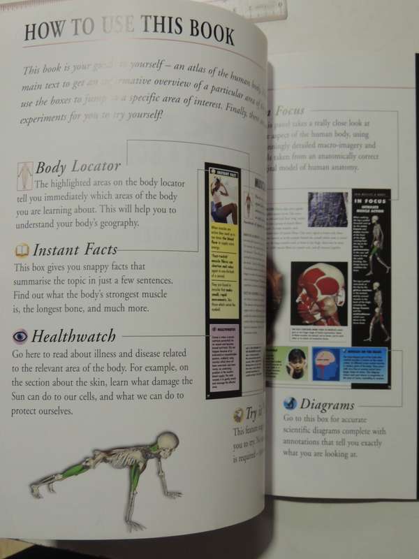 Body Atlas - Skin Muscles & Bones - Steve Parker