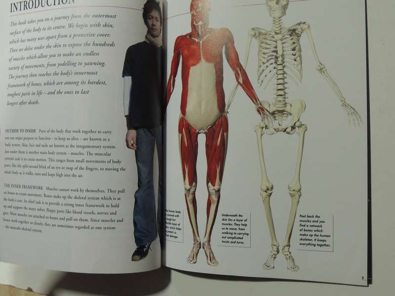 Body Atlas - Skin Muscles & Bones - Steve Parker