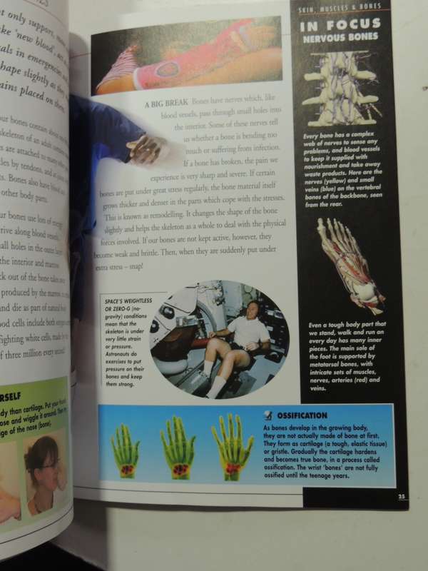 Body Atlas - Skin Muscles & Bones - Steve Parker