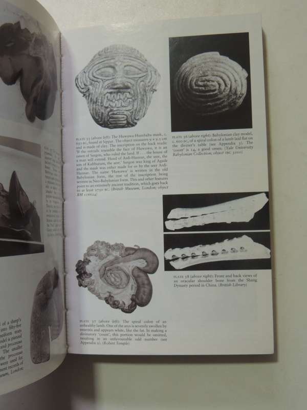 Nether World - Robert Temple