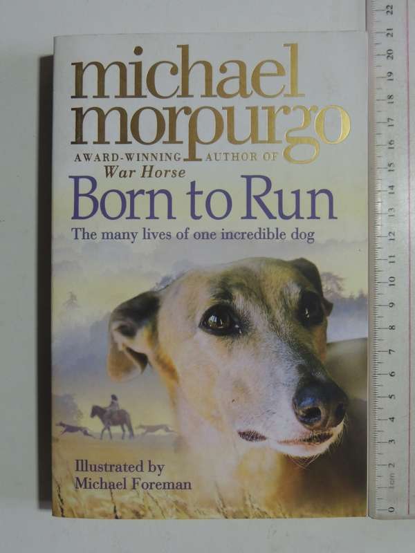 Born To Run - The many Lives Of One Incredible Dog - Michael Morpurgo