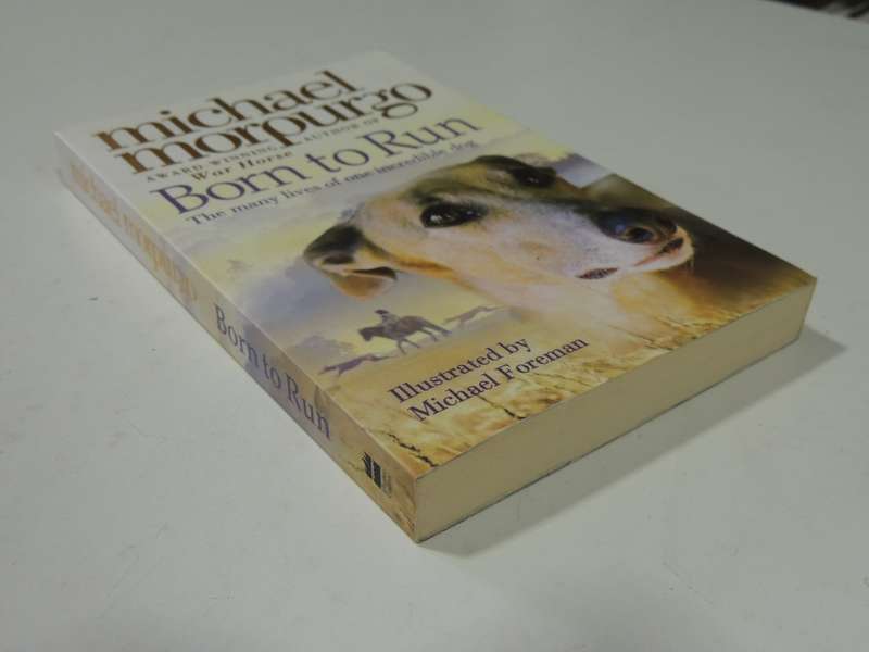 Born To Run - The many Lives Of One Incredible Dog - Michael Morpurgo