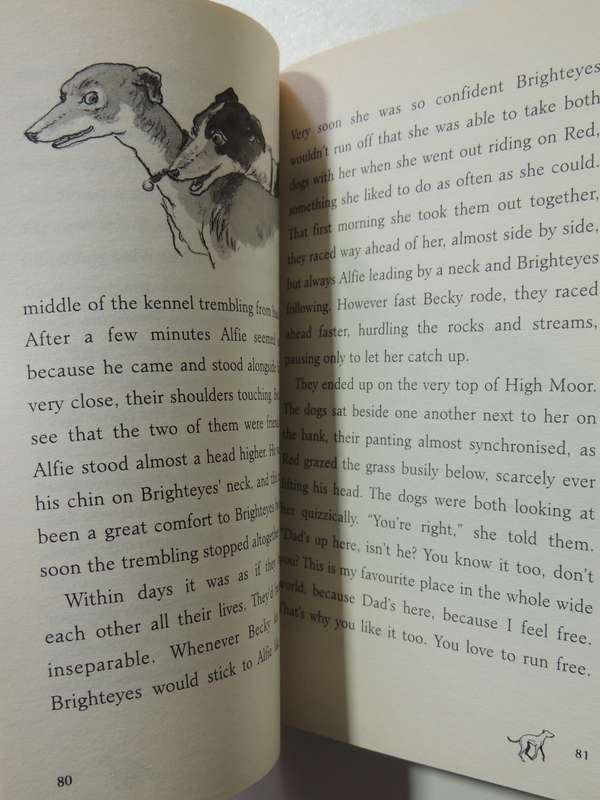 Born To Run - The many Lives Of One Incredible Dog - Michael Morpurgo