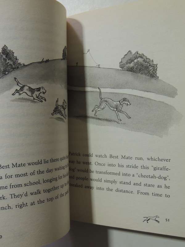 Born To Run - The many Lives Of One Incredible Dog - Michael Morpurgo
