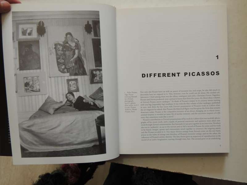Picasso: Architecture And Vertigo - Christopher Green