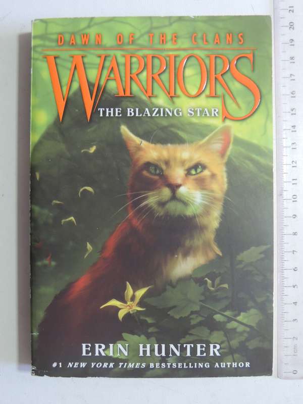 Warriors: Dawn of the Clans #4 The Blazing Star - Erin Hunter