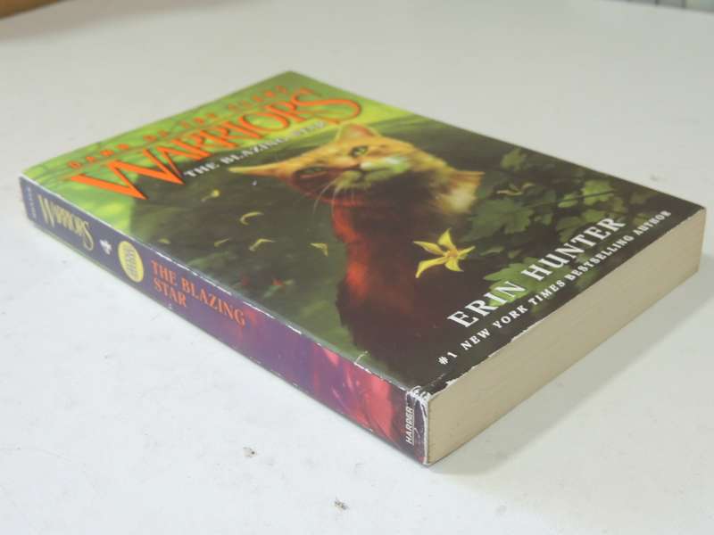 Warriors: Dawn of the Clans #4 The Blazing Star - Erin Hunter