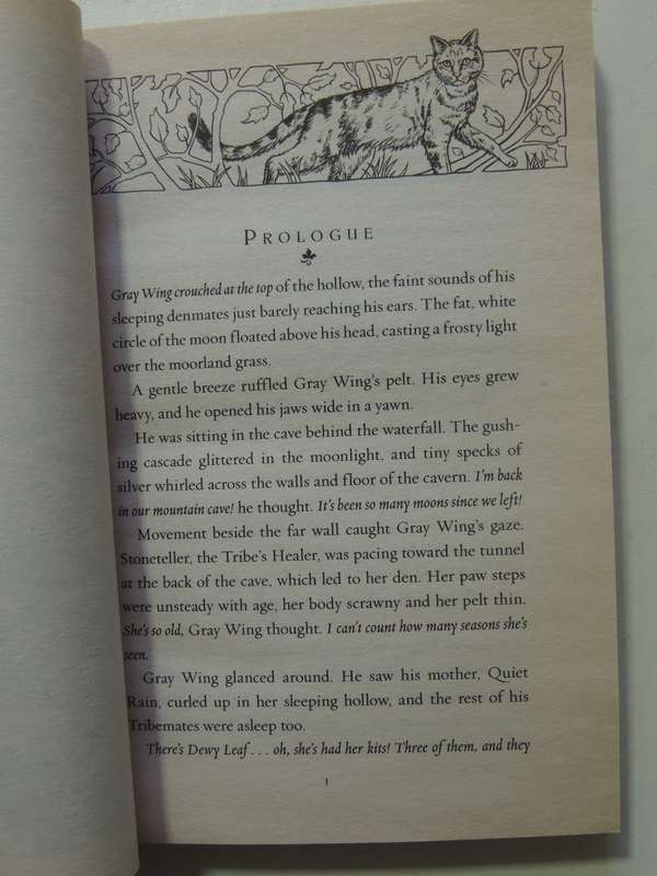 Warriors: Dawn of the Clans #4 The Blazing Star - Erin Hunter