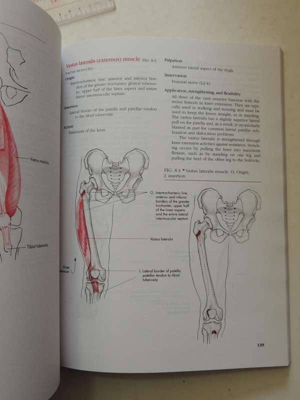 Manual Of Structural Kinesiology - R.T. Floyd & Clem W. Thompson  (Thirteenth Edition)