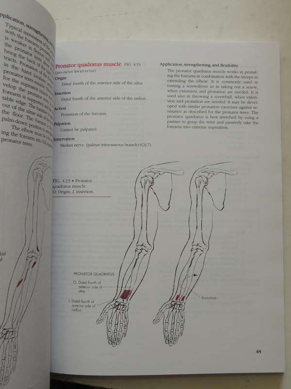 Manual Of Structural Kinesiology - R.T. Floyd & Clem W. Thompson  (Thirteenth Edition)