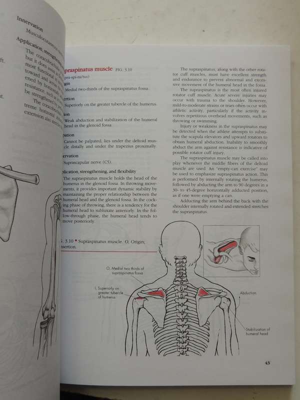 Manual Of Structural Kinesiology - R.T. Floyd & Clem W. Thompson  (Thirteenth Edition)