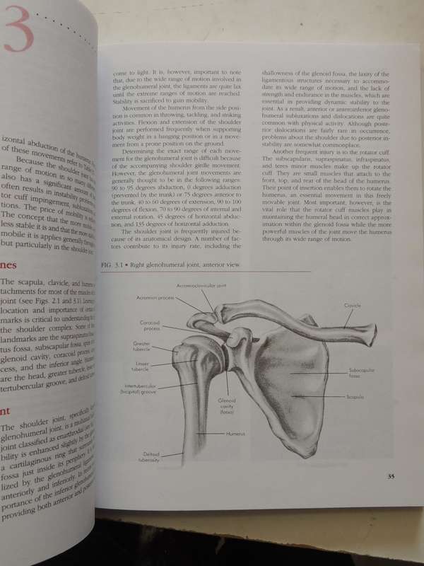 Manual Of Structural Kinesiology - R.T. Floyd & Clem W. Thompson  (Thirteenth Edition)