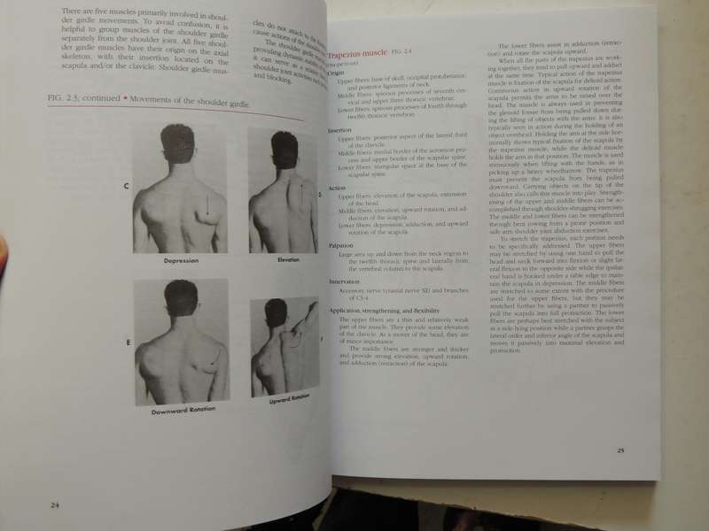 Manual Of Structural Kinesiology - R.T. Floyd & Clem W. Thompson  (Thirteenth Edition)